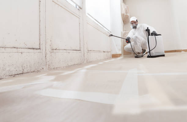24/7 Emergency Attic Mold Remediation experts in Wellsville, PA