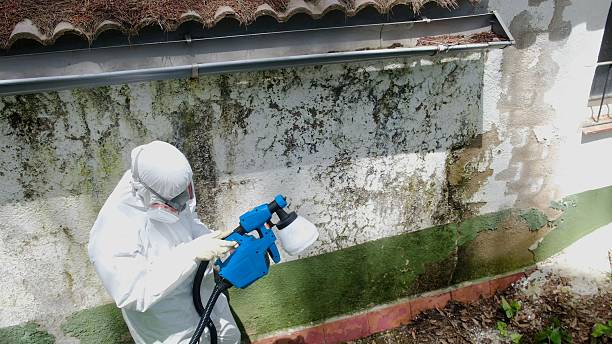 Top rated local Attic Mold Remediation specialists in Wellsville, PA